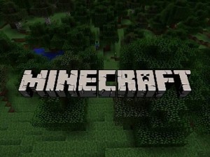 minecraft screenshot video